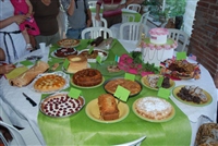 dsc_0196.jpg -  800x536