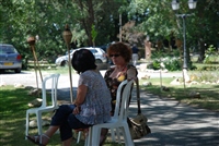 dsc_0205.jpg -  800x536