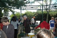 dsc_0011.jpgdsc_0011.jpg