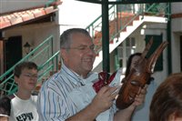 dsc_0096.jpgdsc_0096.jpg