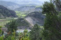 2007_0508aragon20070027.jpg