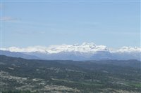 2007_0508aragon20070087.jpg