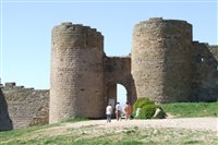 2007_0508aragon20070100.jpg
