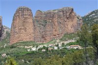 2007_0508aragon20070113.jpg