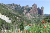 2007_0508aragon20070118.jpg