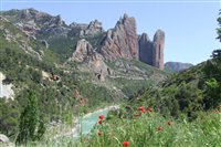 2007_0508aragon20070119.jpg